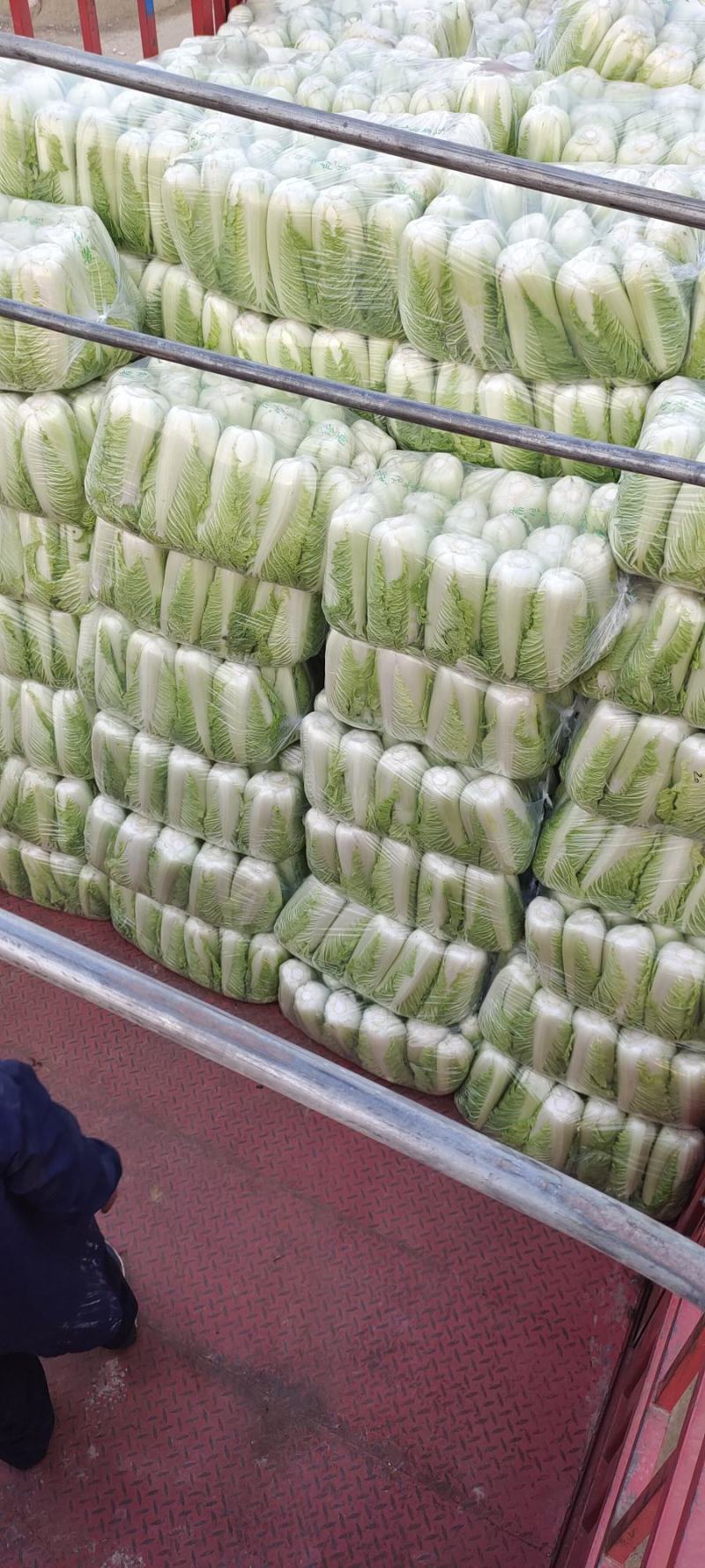 山东大白菜肥城大白菜北京三号白菜大量供应，全国发货