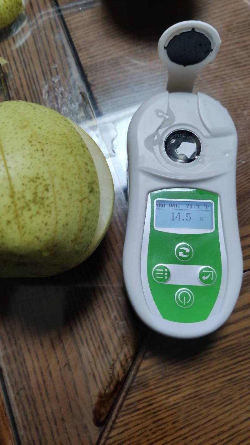 沃吉鲜赵县雪花梨果型好、果面特别干净，青白色，