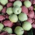 沃吉鲜赵县雪花梨果型好、果面特别干净，青白色，