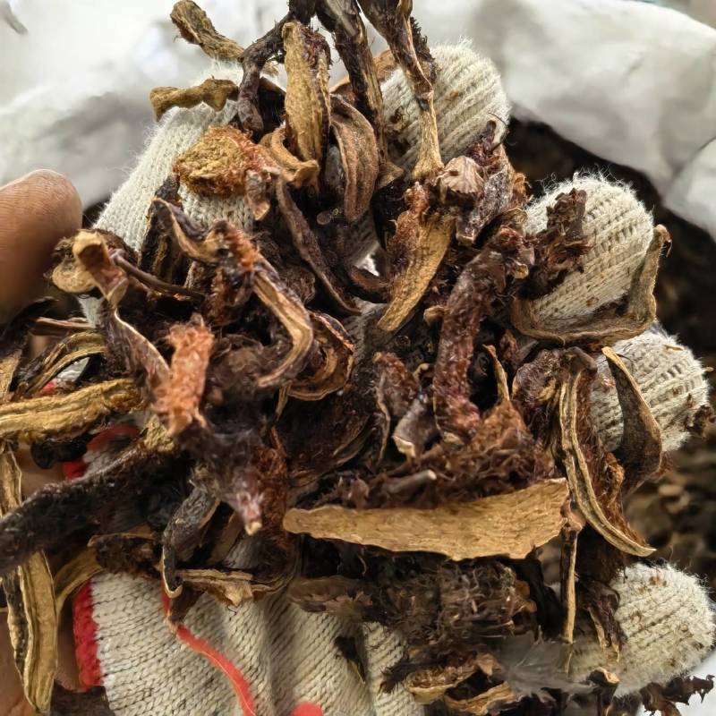 骨碎补生毛姜新货关书药业批发中药材花果茶