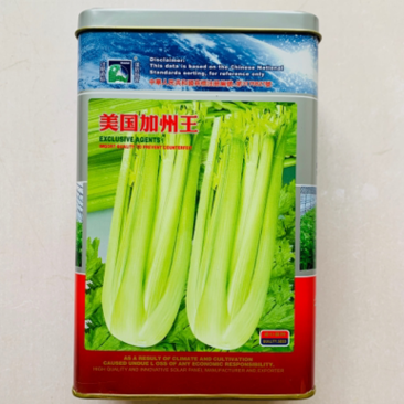 美国加州王西芹种子新一代西芹品种亩产万斤高产芹菜种子