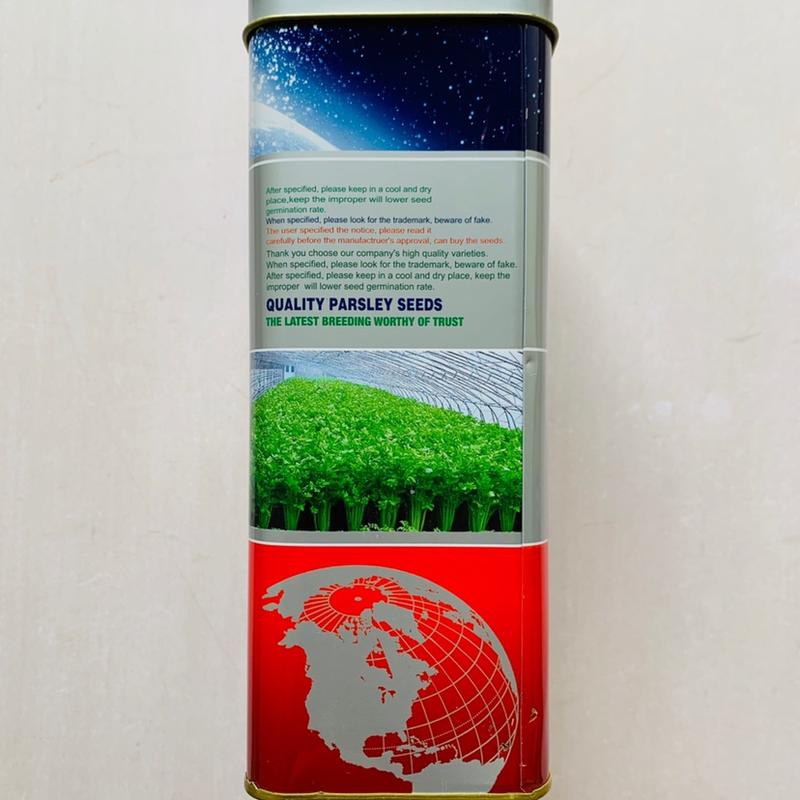 美国加州王西芹种子新一代西芹品种亩产万斤高产芹菜种子