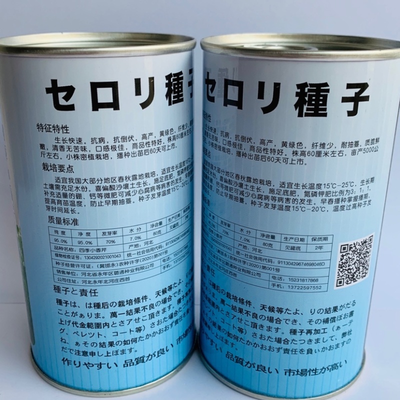 四季速生黄嫩小香芹种子纤维少直立性强清香实心芹菜种子