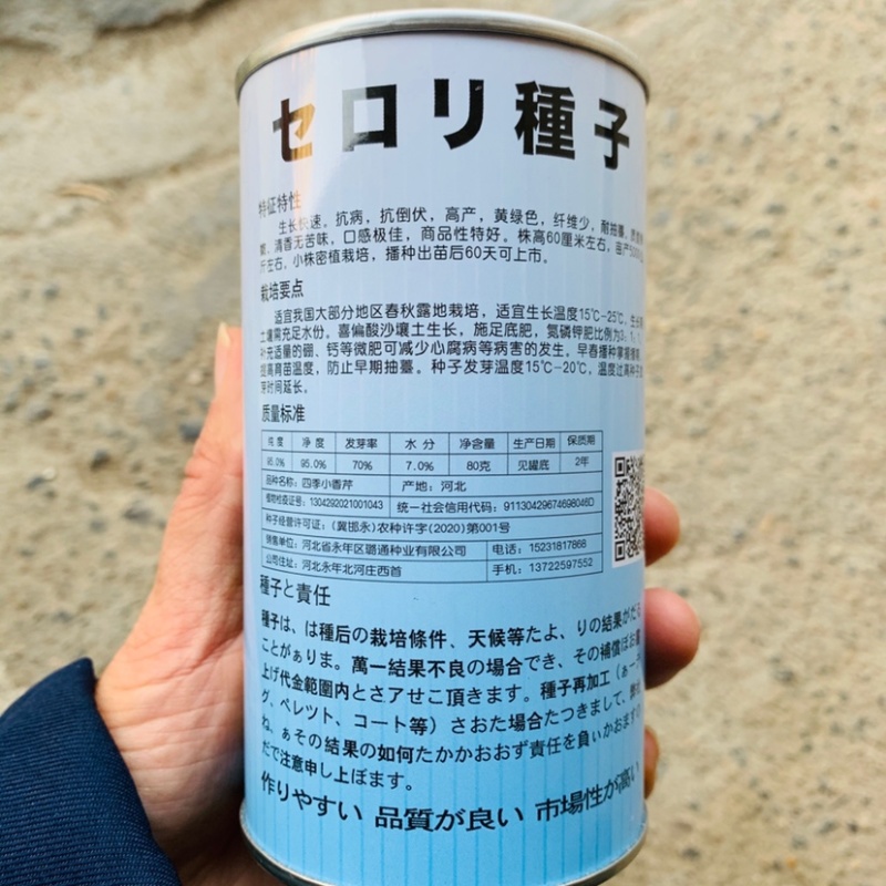四季速生黄嫩小香芹种子纤维少直立性强清香实心芹菜种子