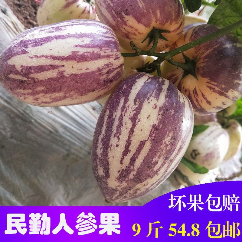 甘肃民勤特产人参果水果