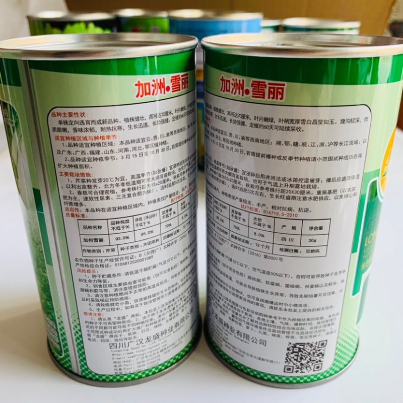 叶柄实心嫩白色芹菜种子香味浓鲜美，白西芹种子芹菜种籽
