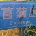 广东水生植物基地黄菖蒲大量供应，基地直发，欢迎下单！