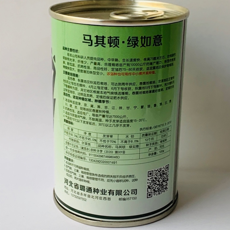 绿如意芹菜种子西芹种子杂交选育高产耐低温芹菜种子基地专用