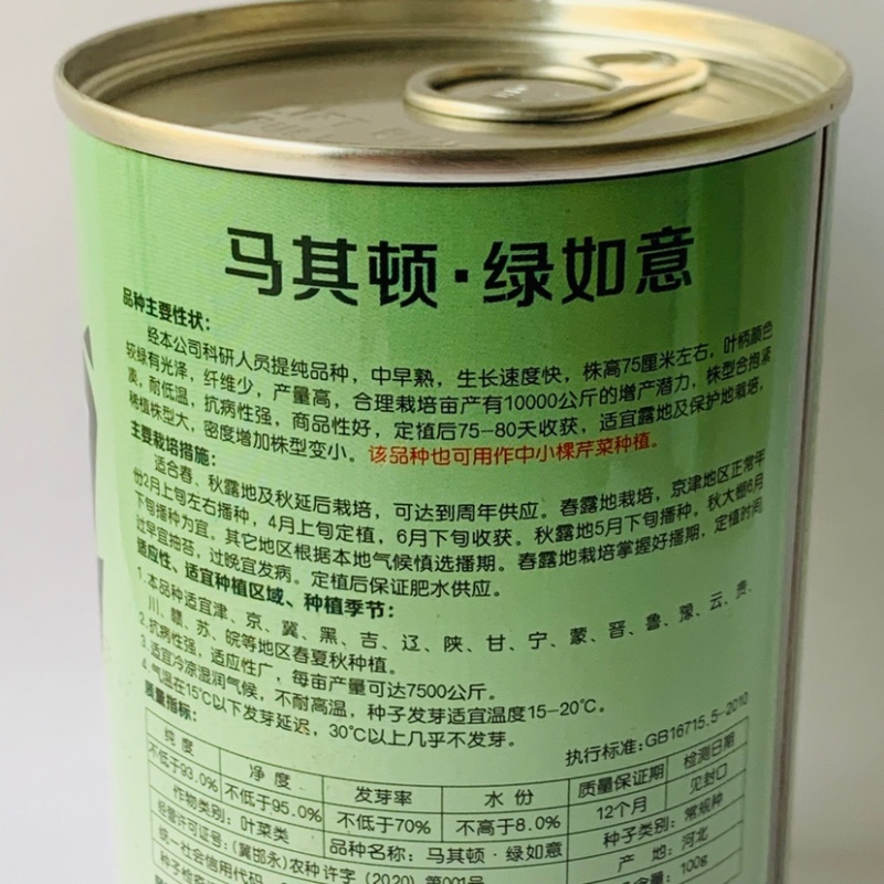 绿如意芹菜种子西芹种子杂交选育高产耐低温芹菜种子基地专用