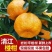 精品新鲜碰柑产地直销，诚信供应商支持发货