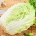 黄心白菜一手货源保质保量欢迎:咨询订购