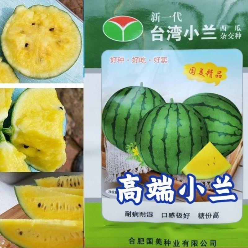 绿皮黄瓤礼品西瓜种子台湾小兰高糖袖珍迷你黄肉西瓜种子
