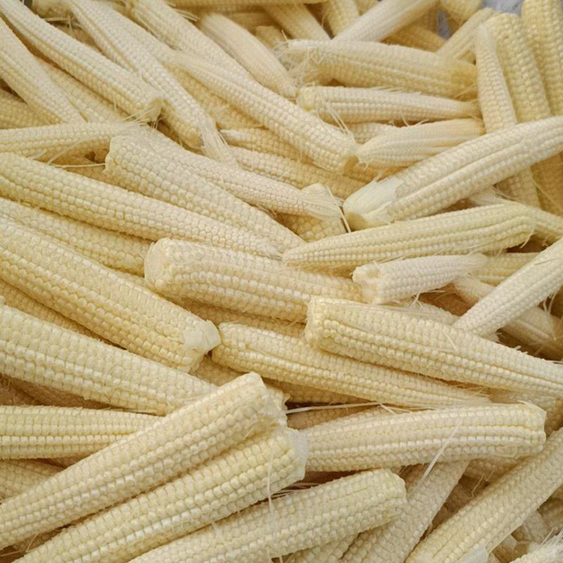 全年无休玉米笋大量供应，支持全国各地发货，价格优势。