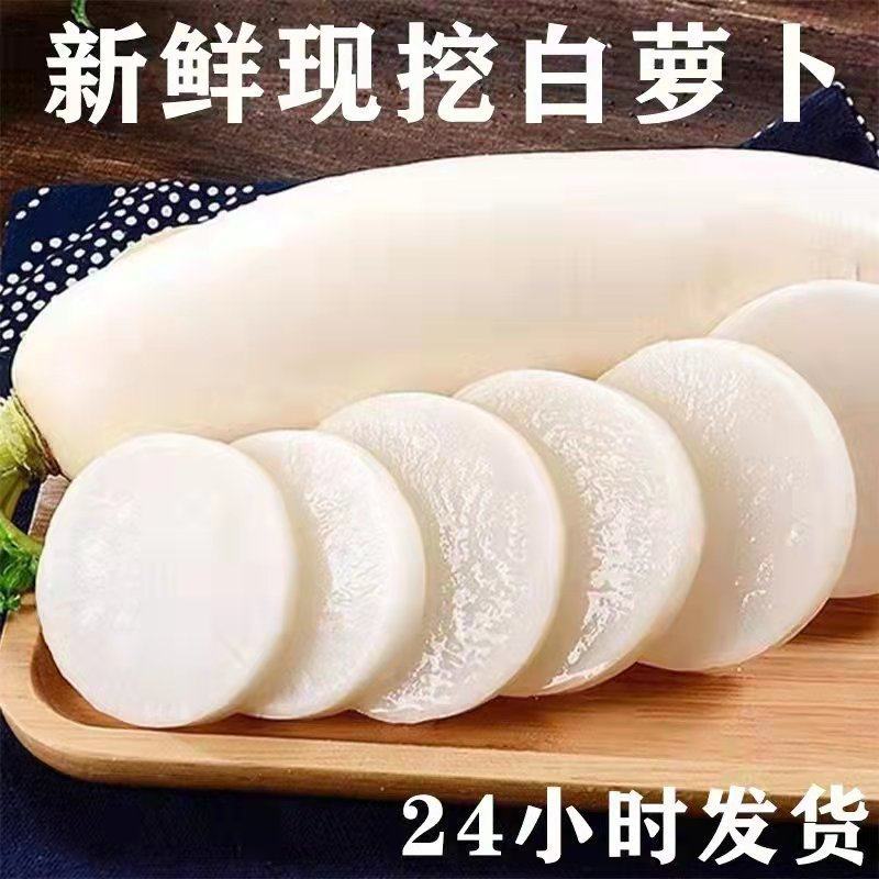 萝卜产地直销看货论价保质保量欢迎订购