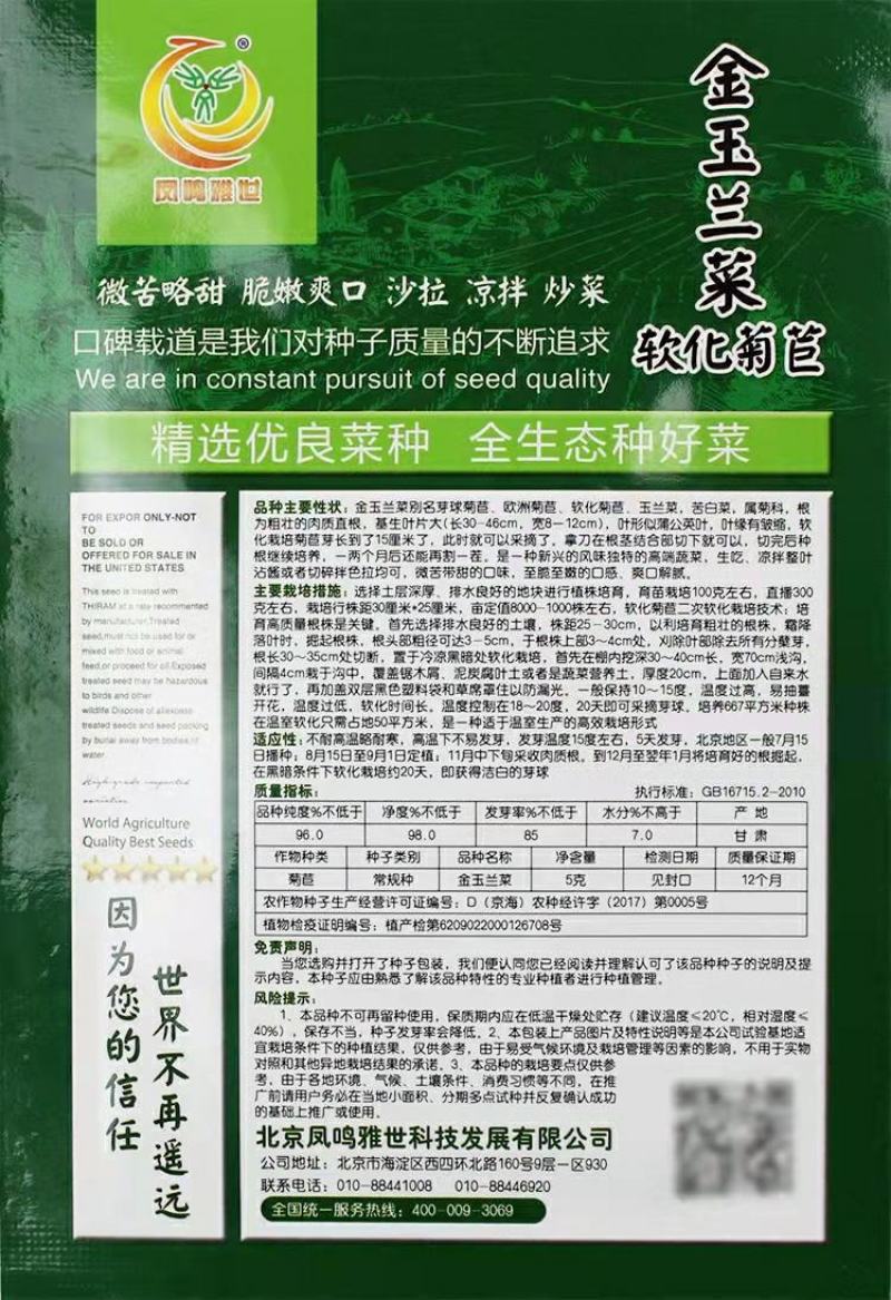 软化菊苣种子种籽基地金玉兰菜种子黄芽球种苗