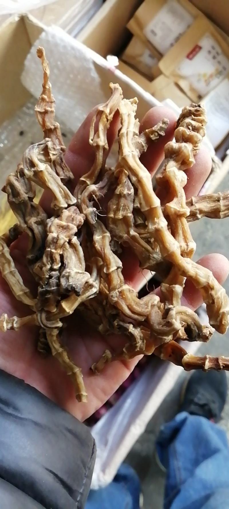 虫草参云南虫草参地参农副产品不满意可退换货
