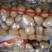 【精选】荷兰十五土豆，对接超市，电商，市场，食堂。