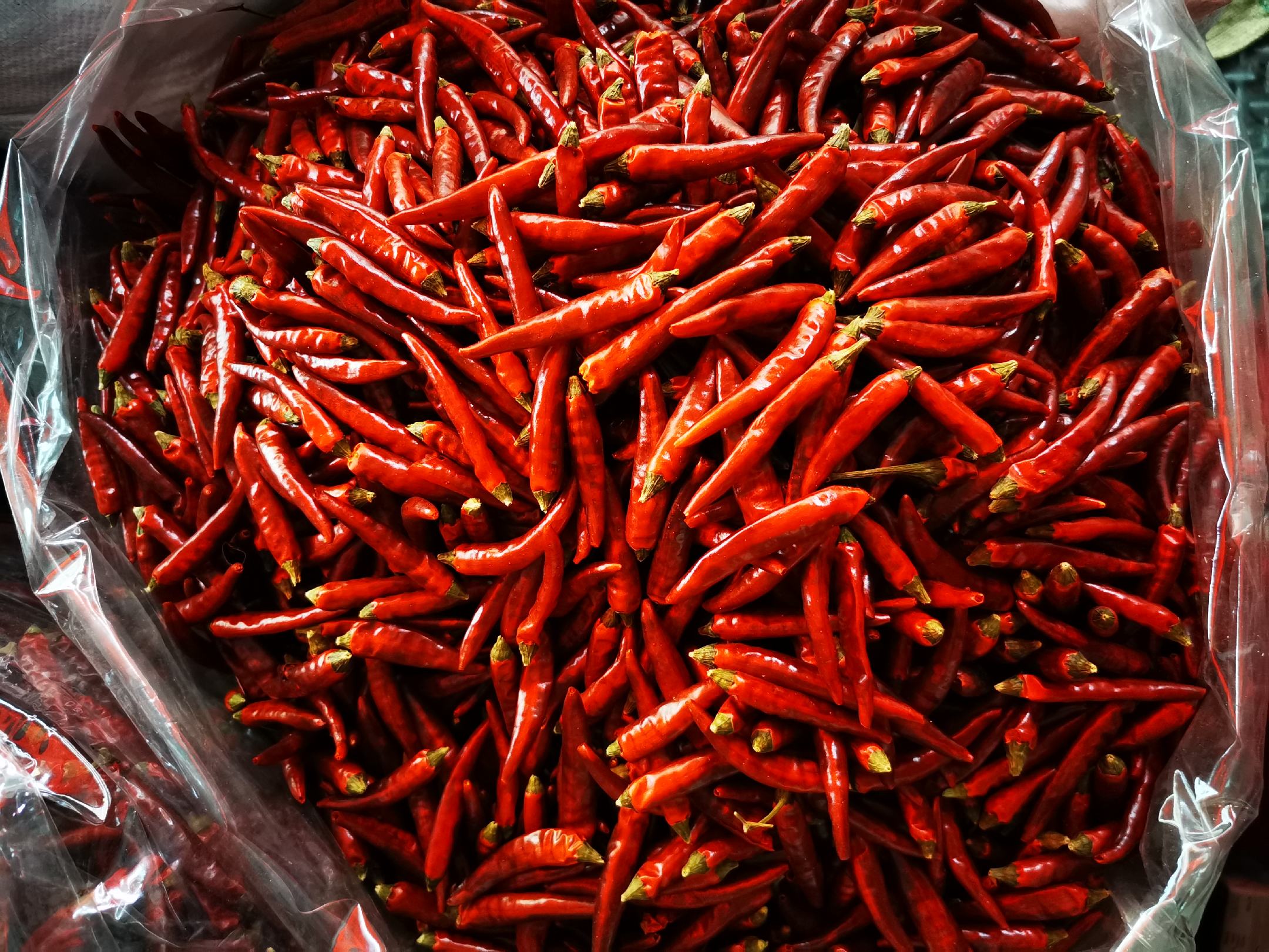 一盘干燥的红辣椒,清晰展示其纹理与颜色 干辣椒特写