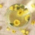 菊花茶胎菊王散装桐乡正宗杭白菊花茶特级菊花