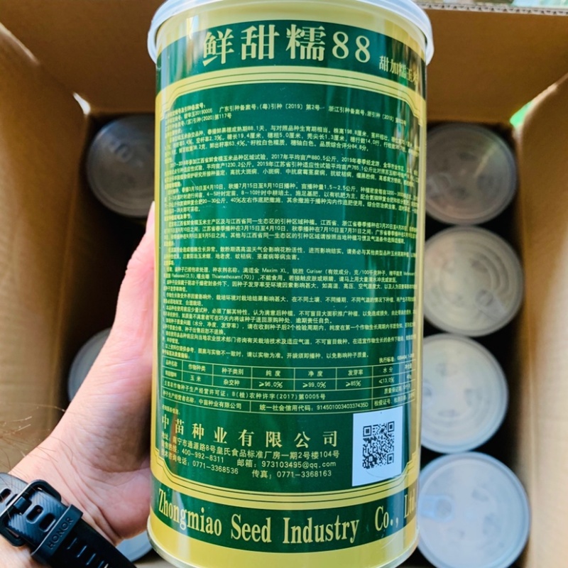 中苗鲜甜糯88玉米种子白甜糯大棒玉米种子粘甜糯香高产玉米