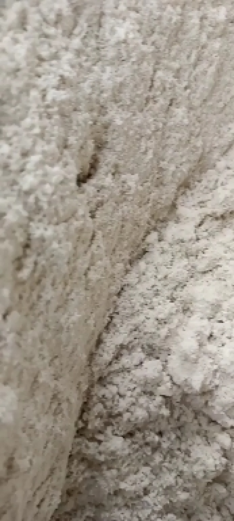 油渣粉（玉米油渣粉）有需要随时联系我哦！！！