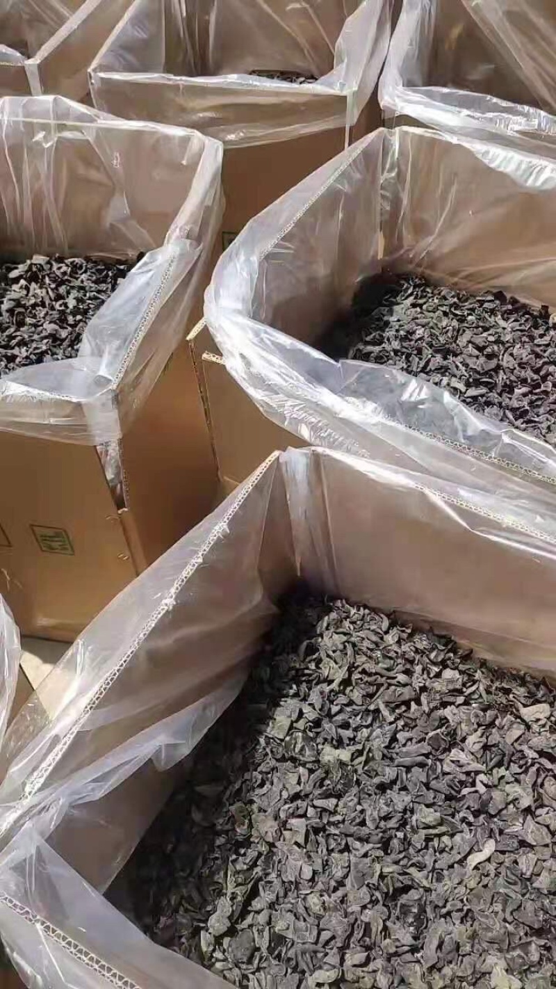 13元一斤包邮东北黑木耳肉厚无根单片饭店地摊专供
