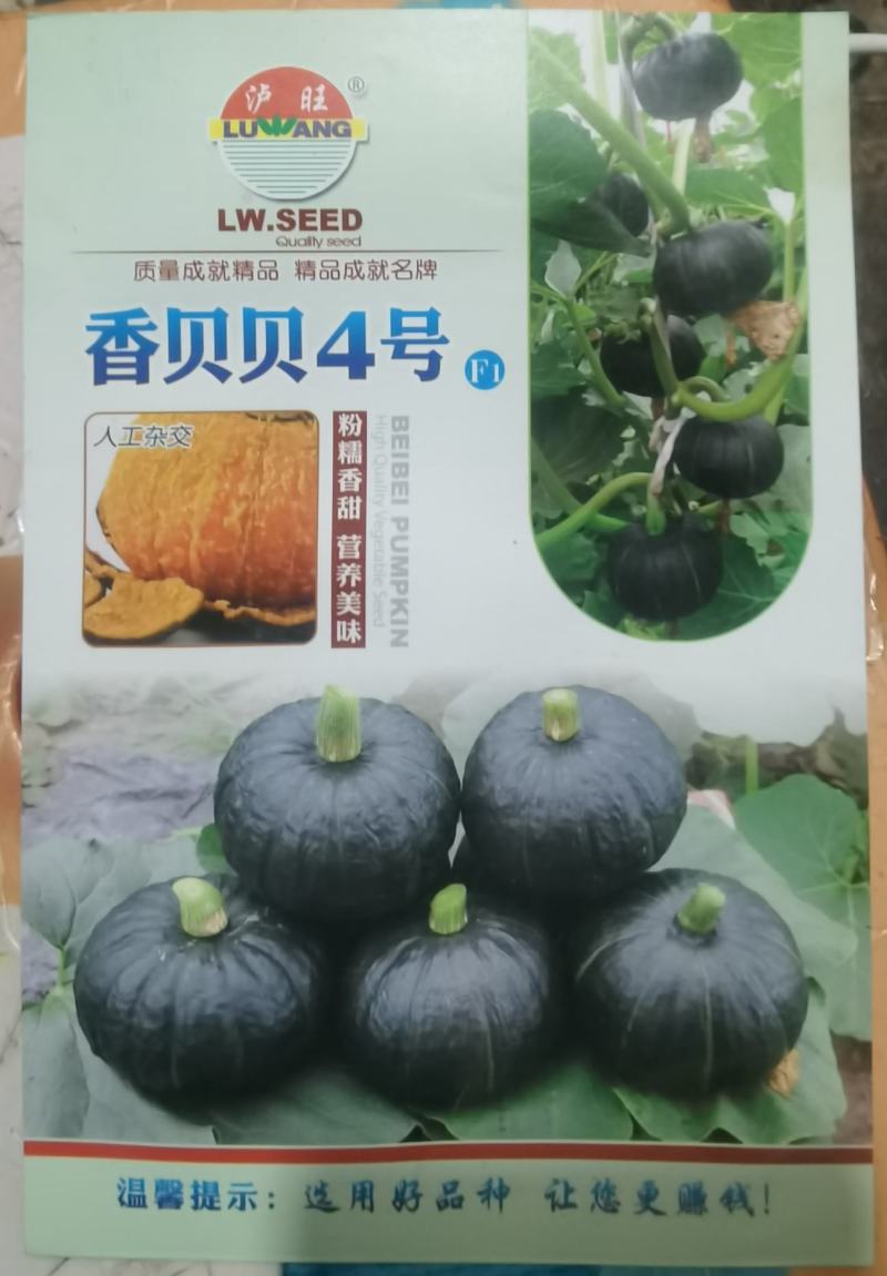 香贝贝4号贝贝南瓜种子抗病高产每袋100粒装