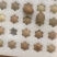 芦丁鸡种蛋，孵化率高，成活率高，快递发货