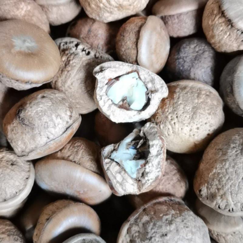 风流果干品，产地直发，一手货源，保质保量