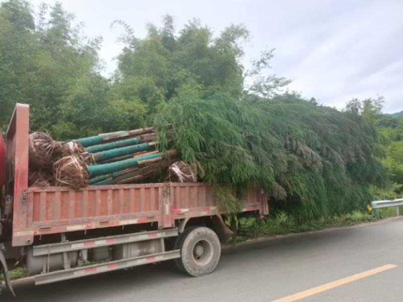 柳沙规格齐全品质优良欢迎进店咨询选购