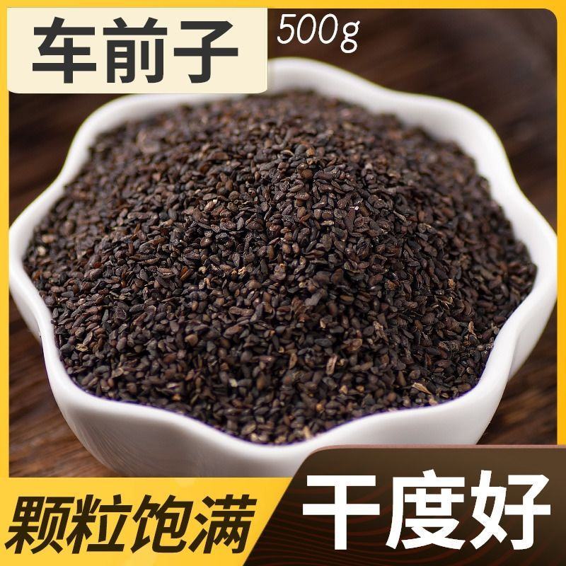 大别山野生车前子车前草籽车前子茶车前子