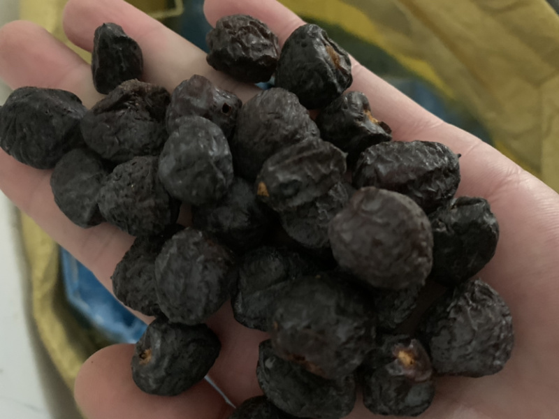 软枣种子，新货加工，新货