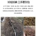 蚯蚓粪有机肥营养土花卉育苗种菜营养肥无臭味