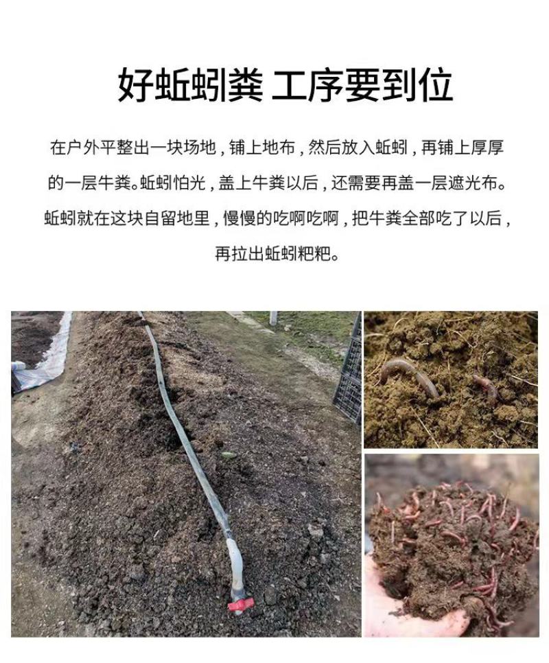蚯蚓粪有机肥营养土花卉育苗种菜营养肥无臭味