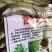 乡镇热卖，干青豌豆，一件96斤。泡发率好，