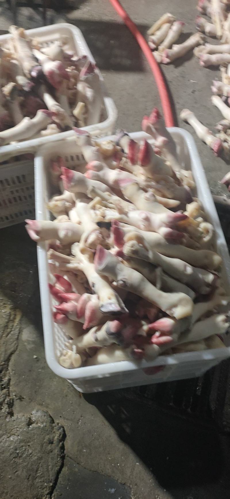 清真羊蹄