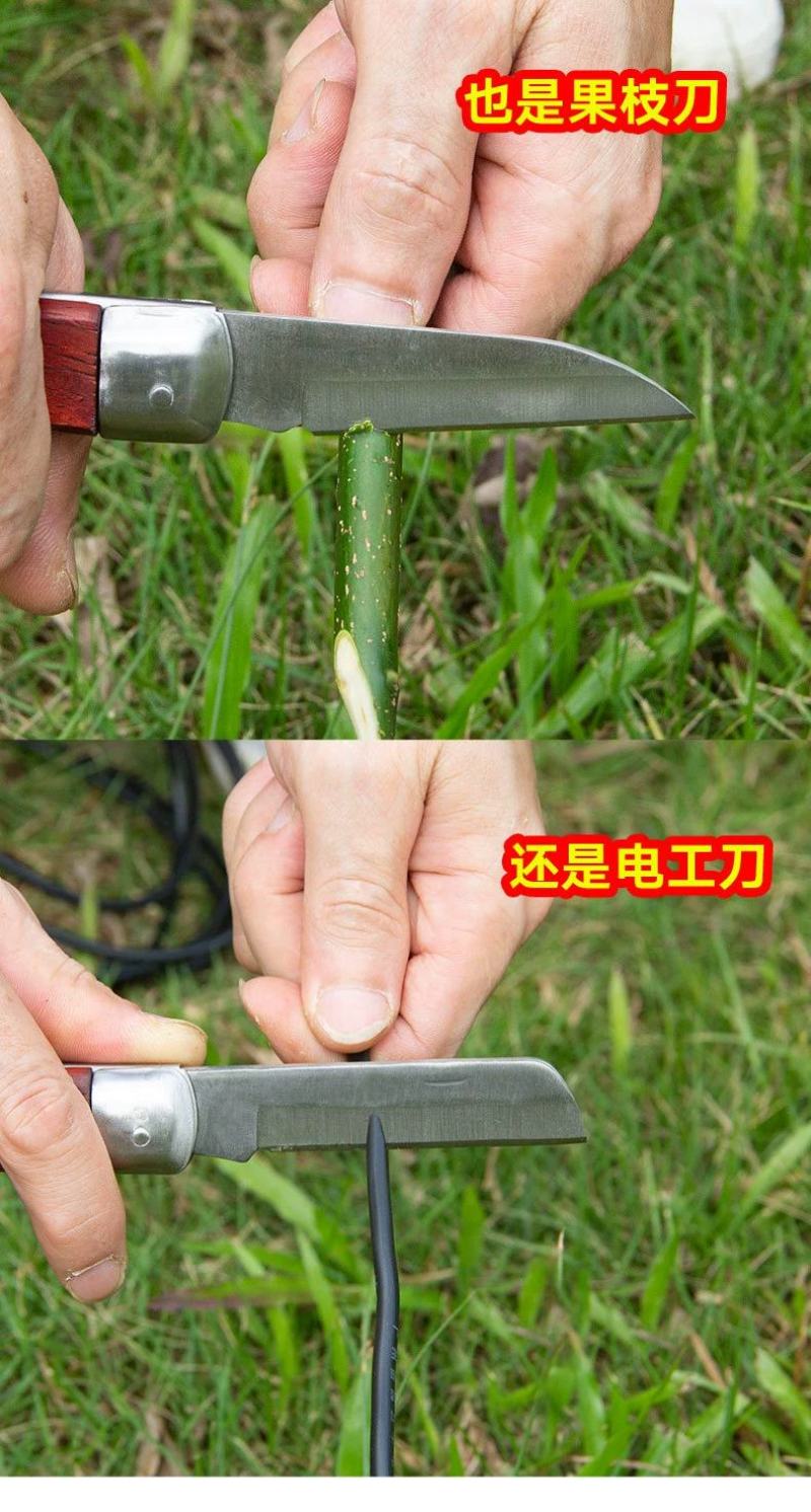 折叠嫁接刀果树嫁接器花木树苗嫁接机芽接刀园艺工具