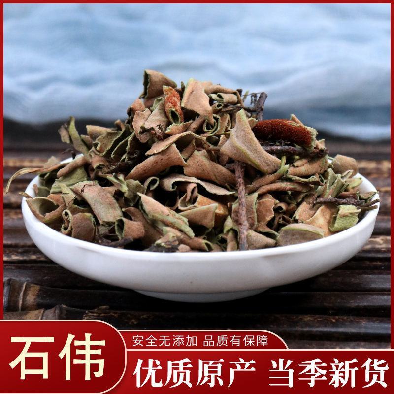 中药材石伟石苇石皮石韦金星草石兰石剑