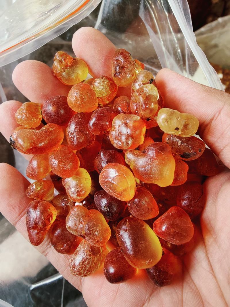 云南天然野生桃胶特级桃树胶云南天然野生桃胶特级桃树胶云南