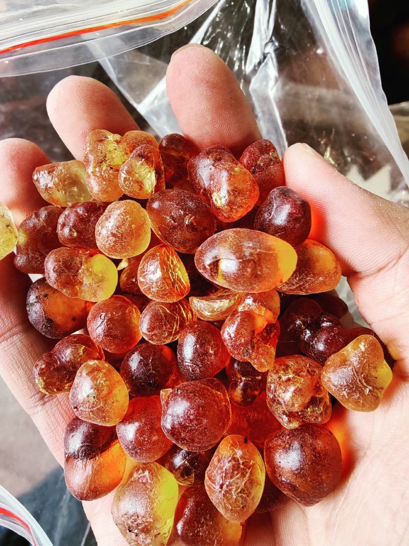 云南天然野生桃胶特级桃树胶云南天然野生桃胶特级桃树胶云南