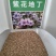 紫花地丁种子地被花卉花籽花种野花庭院阳台盆栽耐荫耐寒秋季