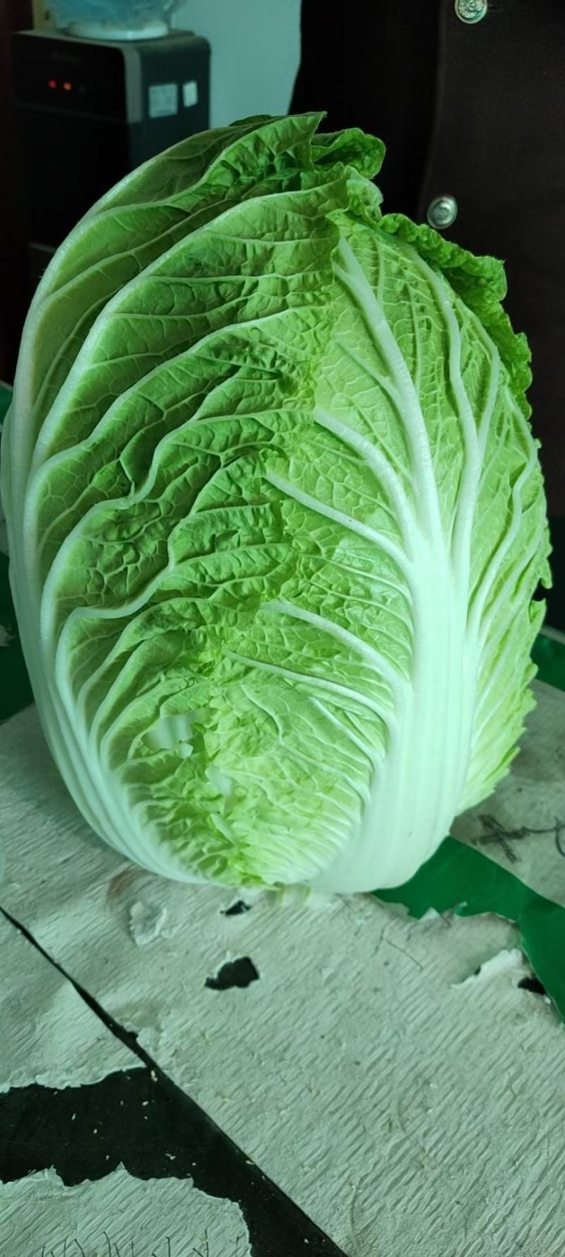 黄心白菜，大量上市中，货源充足。质量好，
