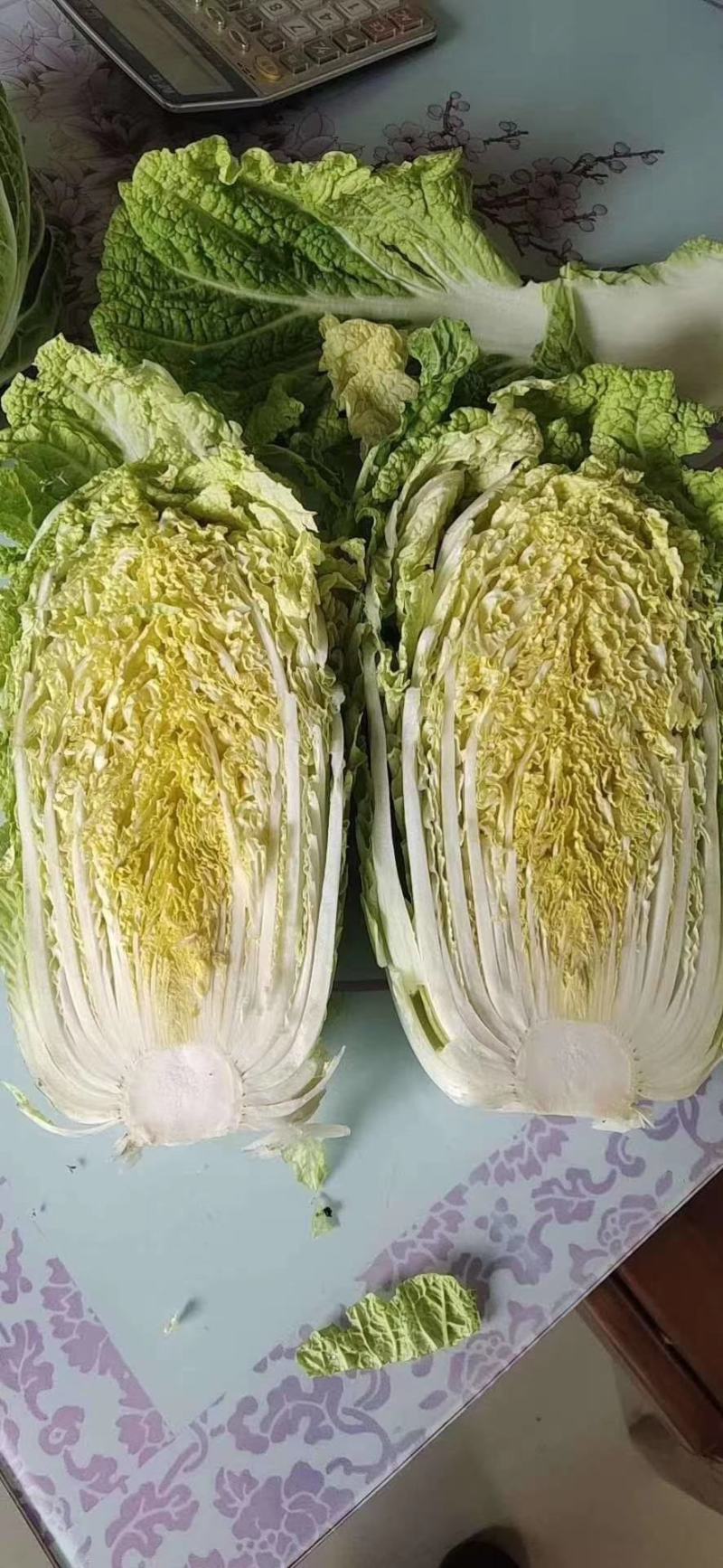 黄心白菜，大量上市中，货源充足。质量好，
