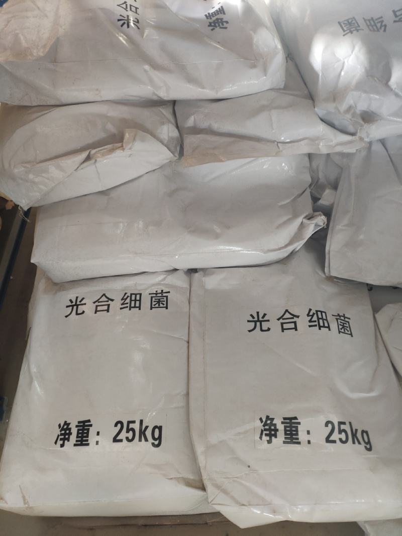 大量供应枯草芽孢杆菌畜禽水产农业用菌200亿1000亿