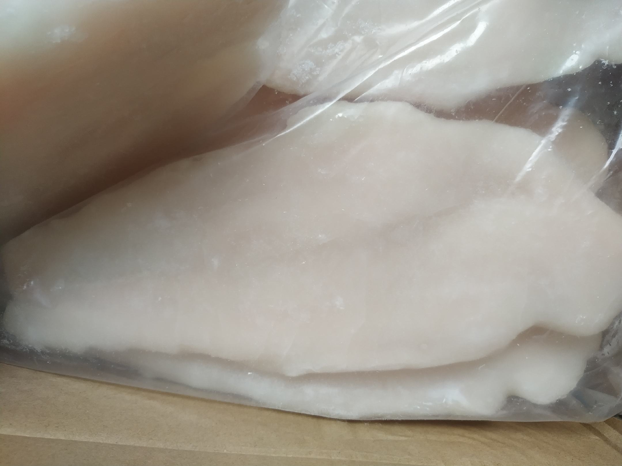 鲜冻太平洋柔鱼肉质特写，去皮切圈，呈半透明乳白色，表面湿润有光泽，无褐变或黏液，置于食品级不锈钢盘中，背景为洁净实验室操作台