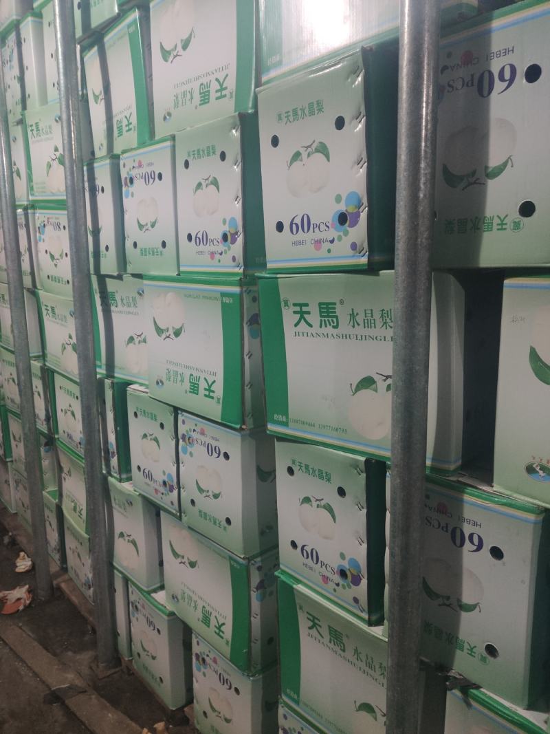 优质高端收购沃吉鲜水晶梨果面干净又细又白产地直销