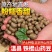 一件代发【正宗铁棍山药豆】新鲜采摘河南焦作温县怀山药蛋豆