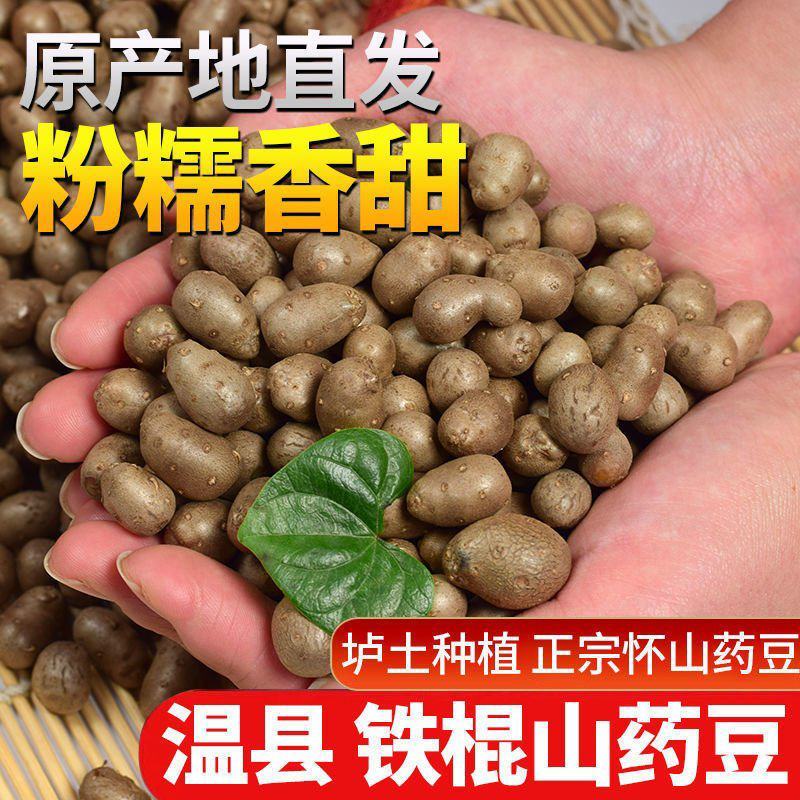 一件代发【正宗铁棍山药豆】新鲜采摘河南焦作温县怀山药蛋豆