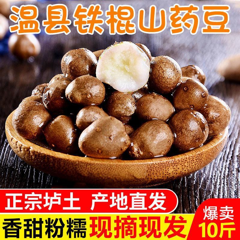 一件代发【正宗铁棍山药豆】新鲜采摘河南焦作温县怀山药蛋豆