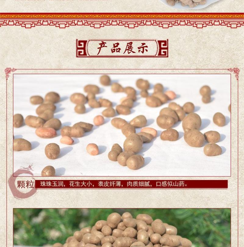 一件代发【正宗铁棍山药豆】新鲜采摘河南焦作温县怀山药蛋豆